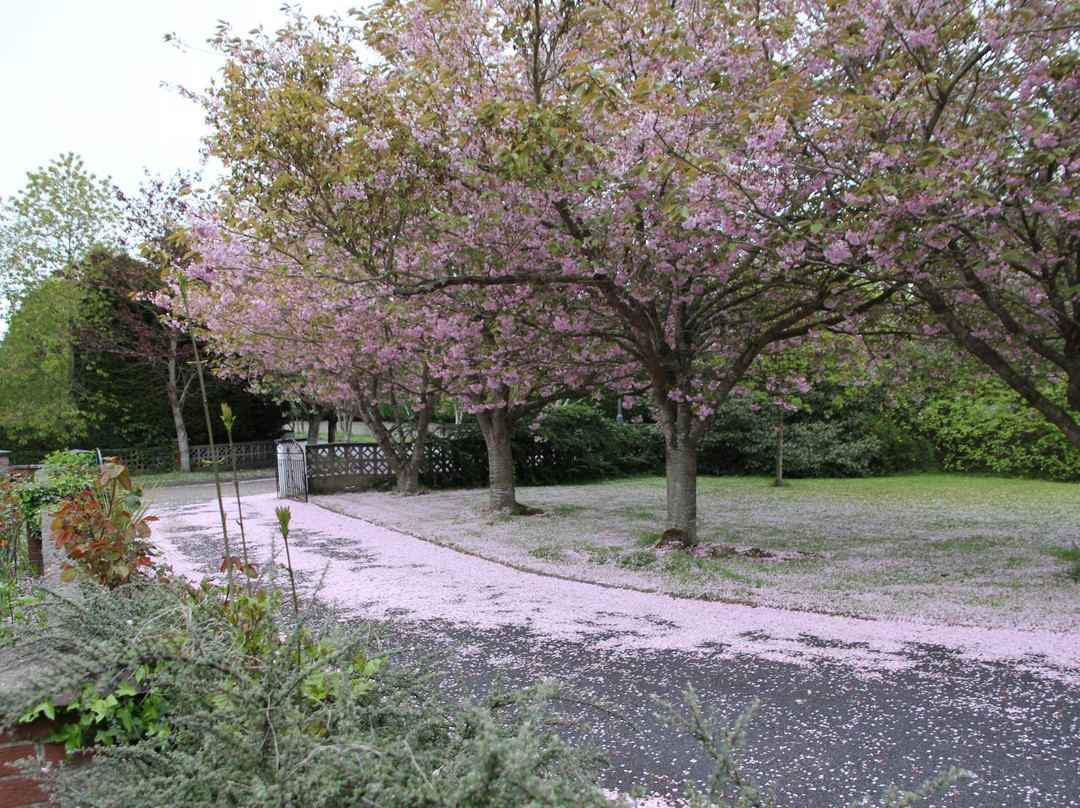 Killowen House主图