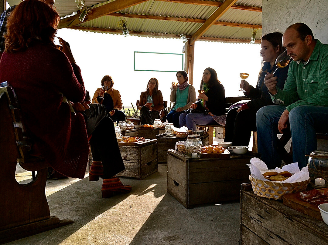 Los Nadies-Canelones必去景点