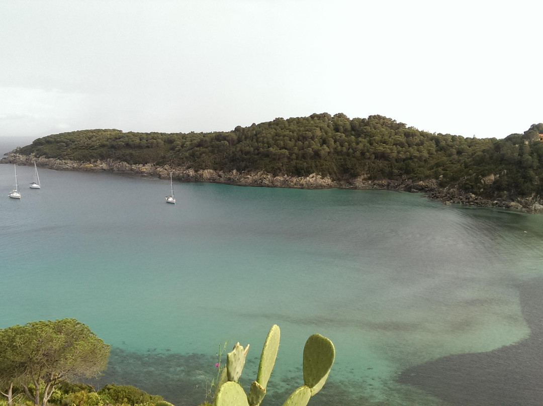 Spiaggia di Fetovaia景点图片