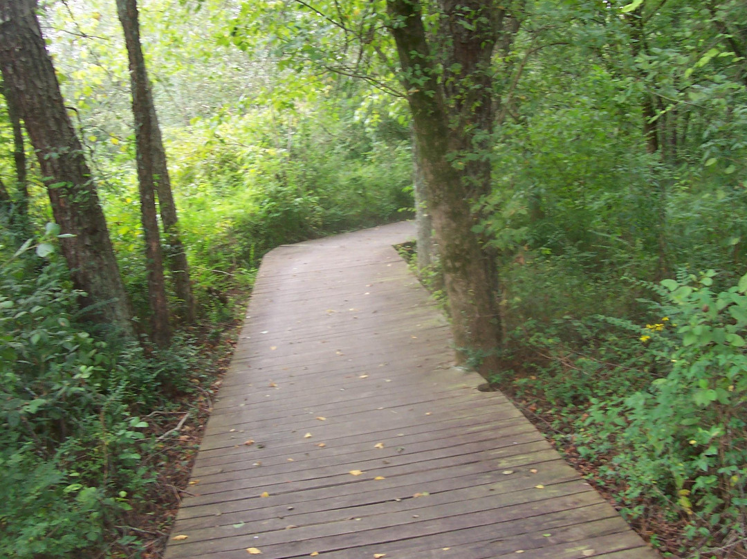 Chattahoochee River National Recreation Area-桑迪斯普林斯必去景点