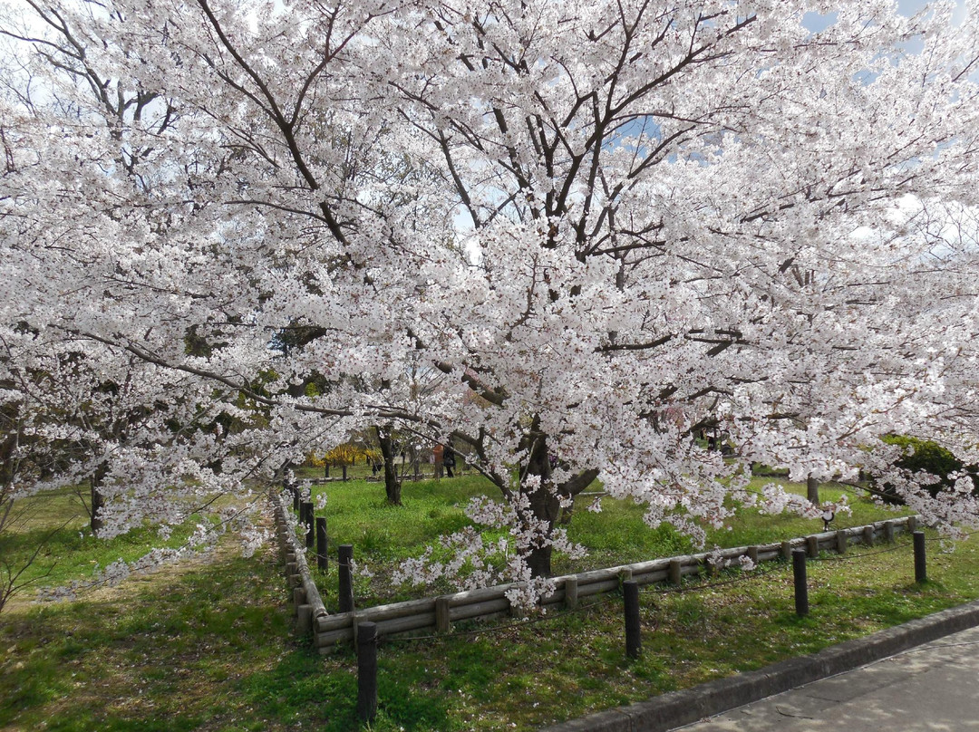 京都府立植物园-京都市必去景点