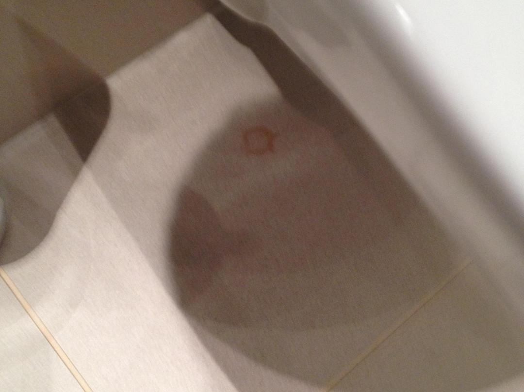 Centro Park Hotel Stuttgart主图