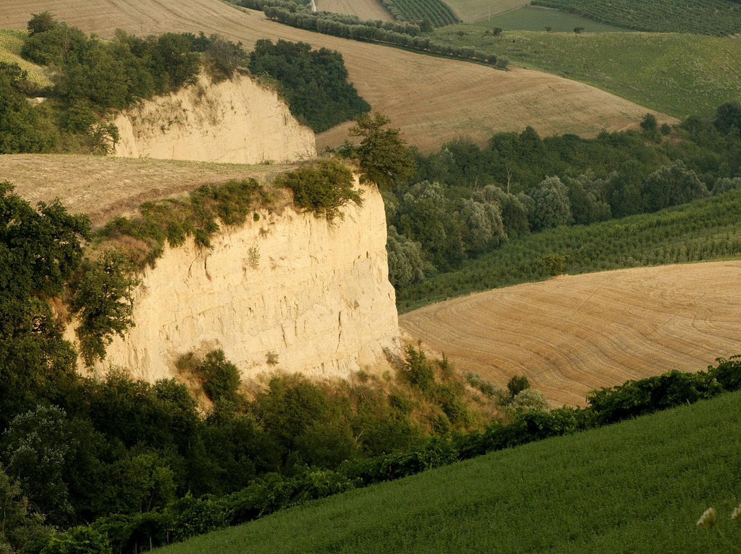 Azienda Agricola Biologica Fiorano-Cossignano必去景点