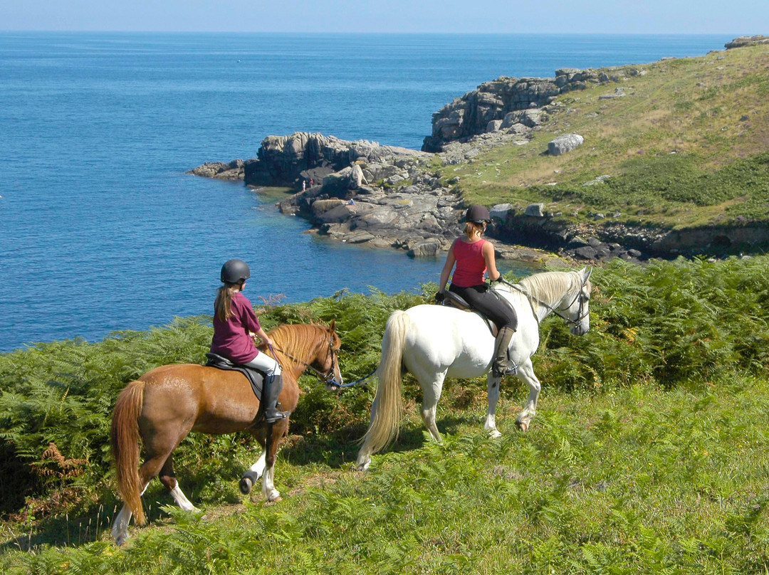 St Mary's Riding Centre-St Mary's必去景点