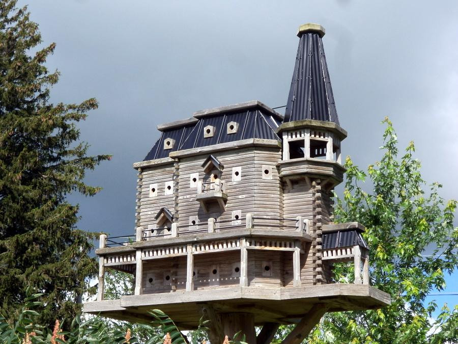 Extreme Birdhouses景点图片
