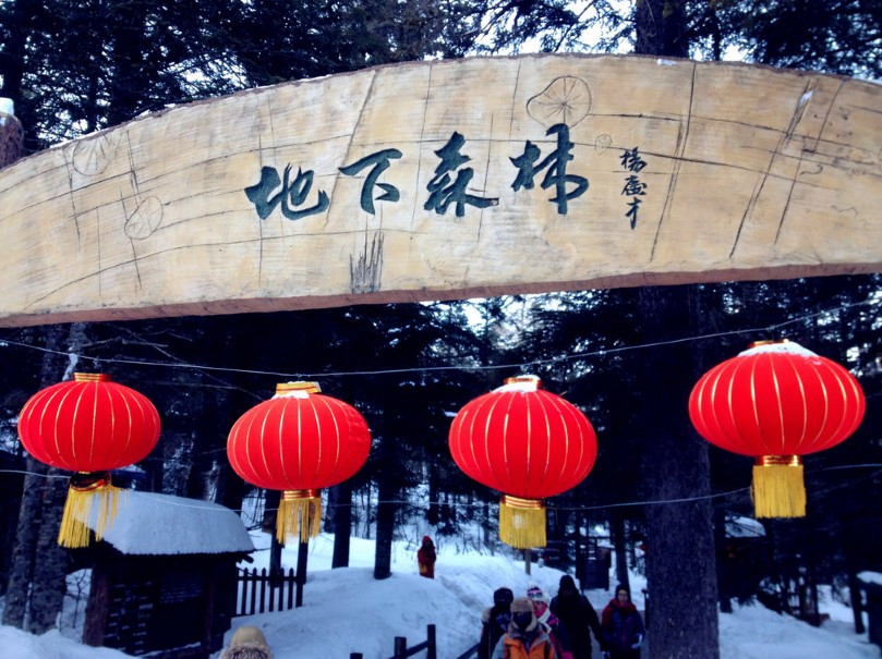 镜泊湖地下森林-宁安市必去景点