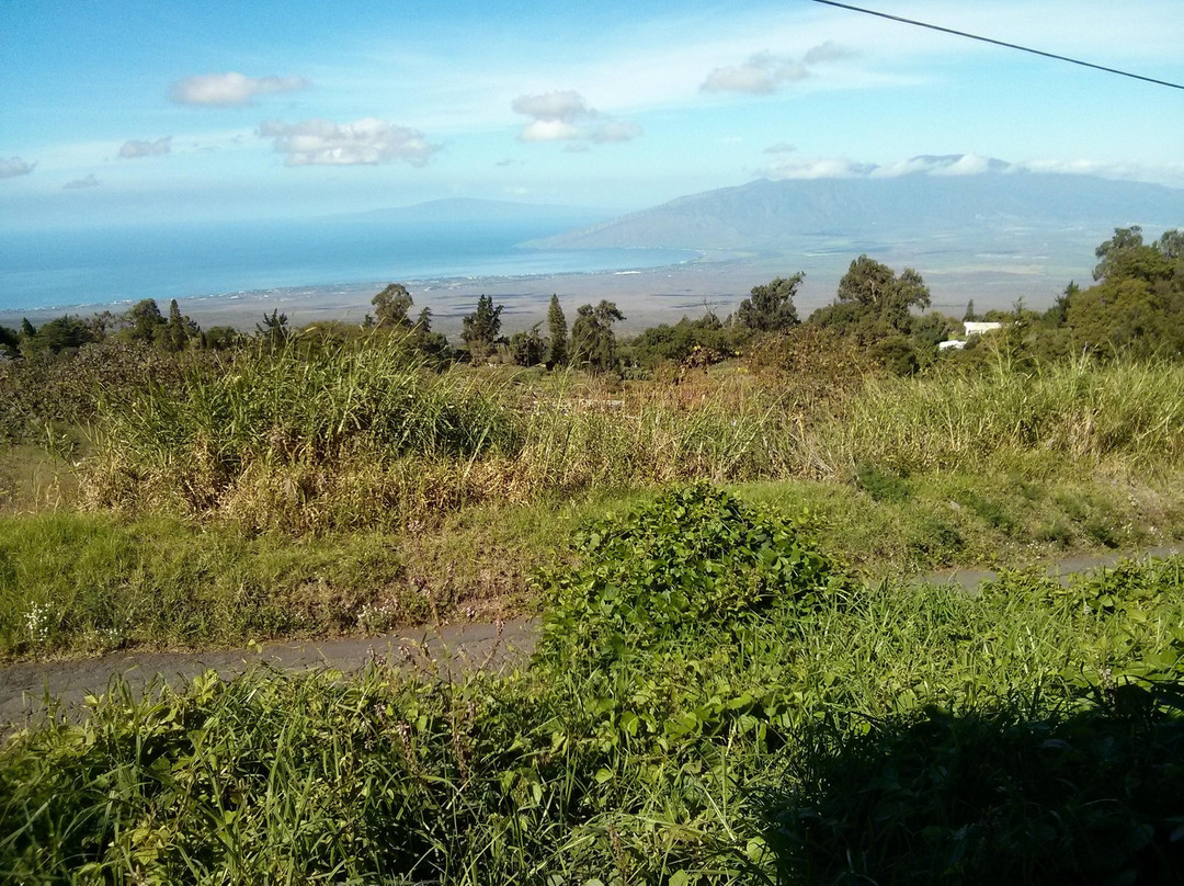 O'o Farm-库拉必去景点
