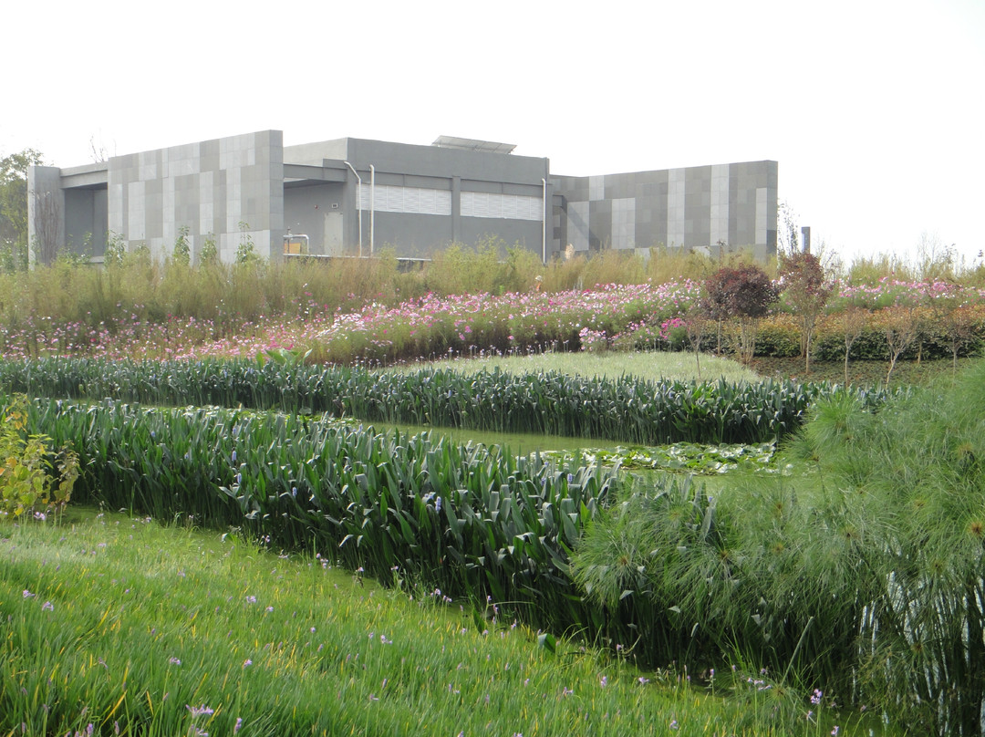 海东湿地公园-昆明市必去景点