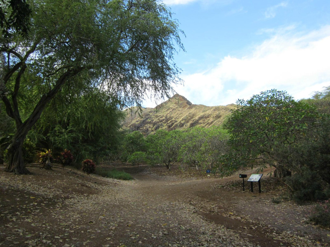可可火山口植物园-火奴鲁鲁必去景点