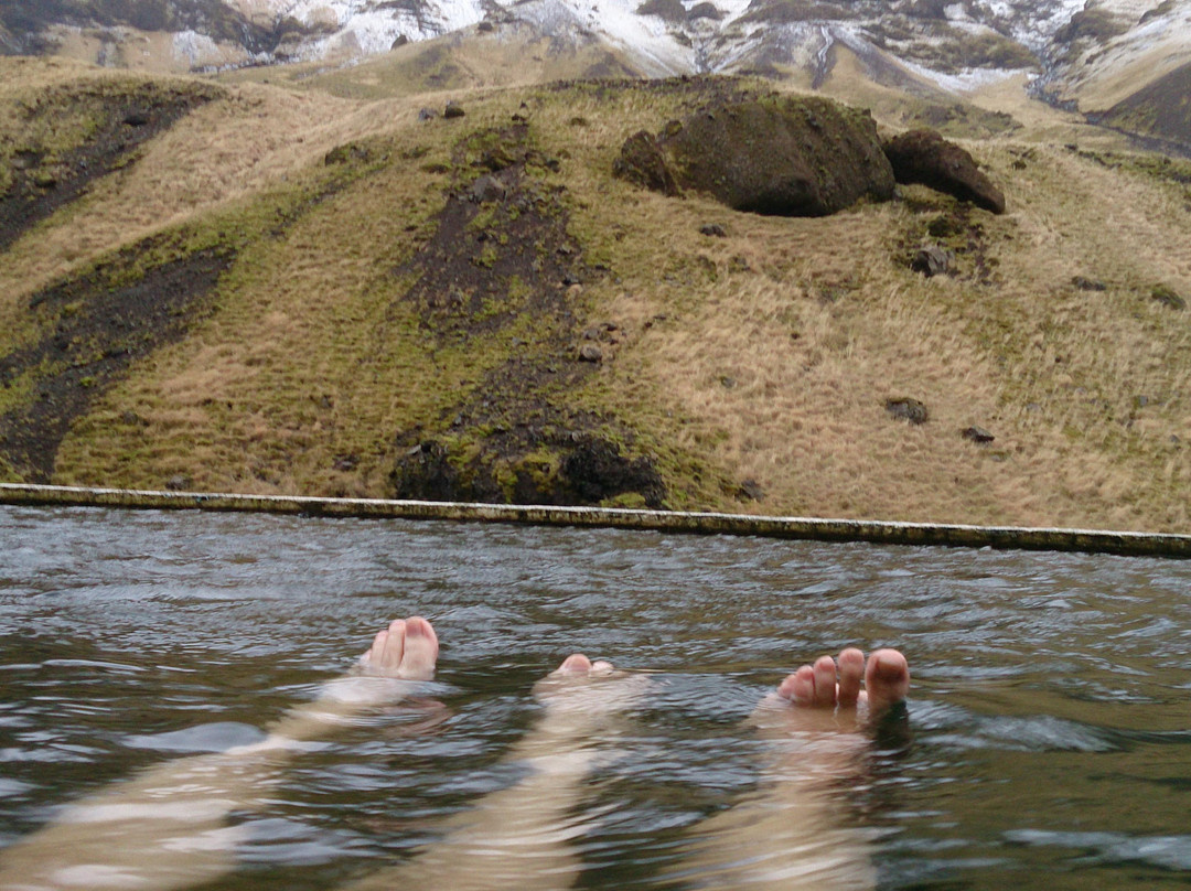 Seljavallalaug-Skogar必去景点