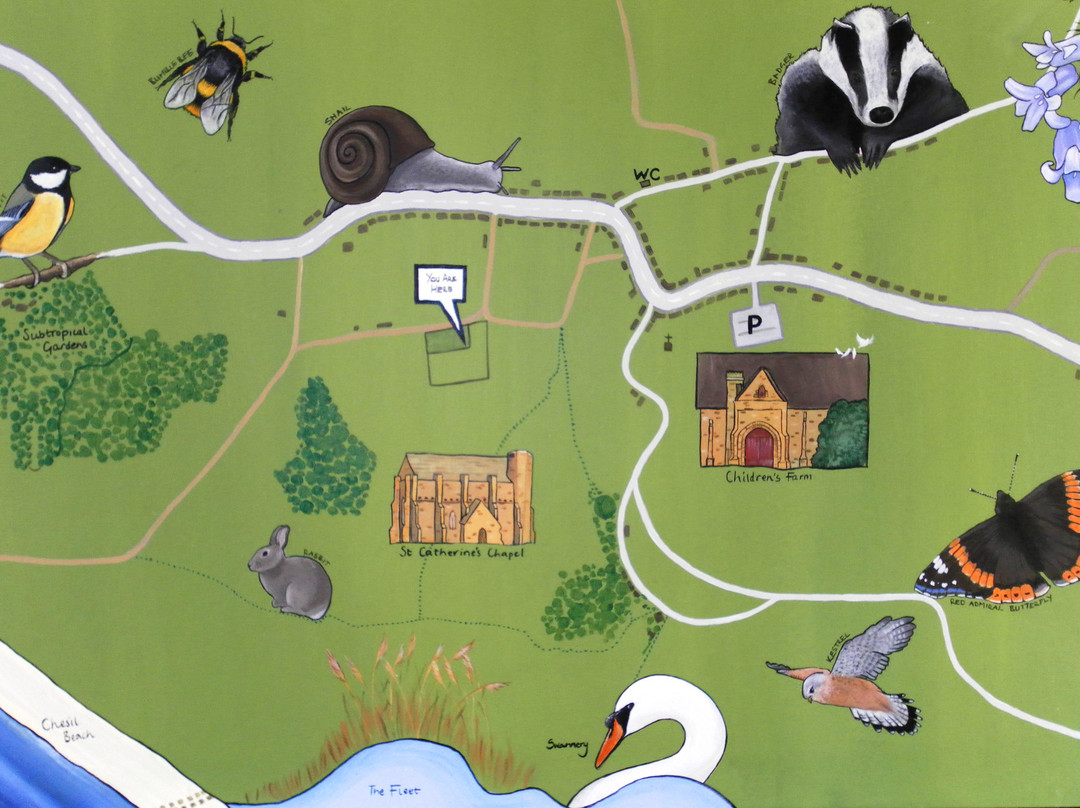 Abbotsbury Playground-Abbotsbury必去景点