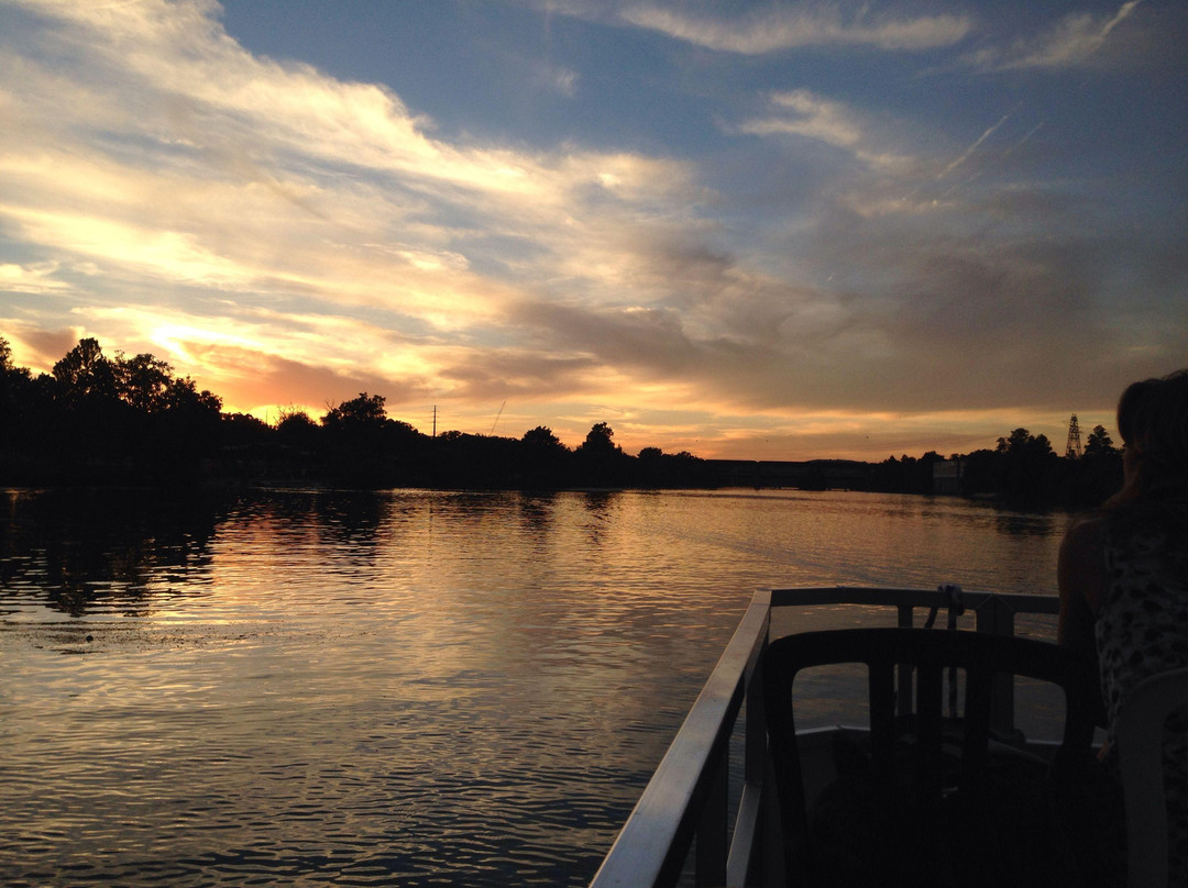 Congress Avenue Bridge Bat Watching-奥斯丁必去景点