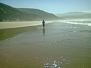 Buffalo Bay-克尼斯纳必去景点