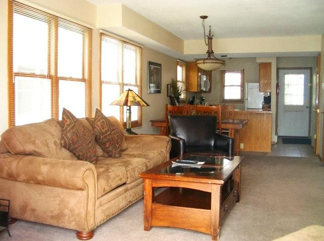 French Ridge Condominiums
