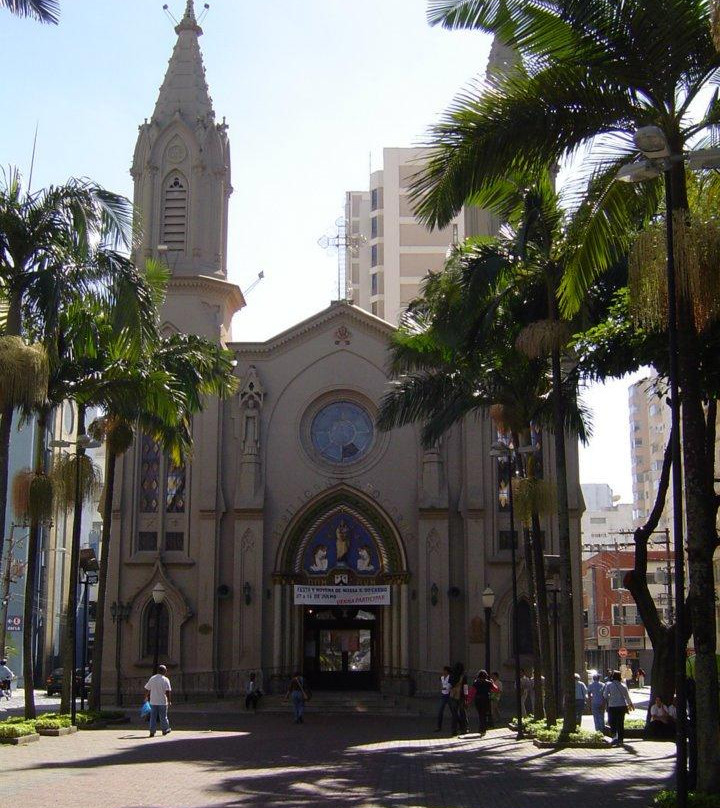Basílica Nossa Senhora do Carmo-坎皮纳斯必去景点