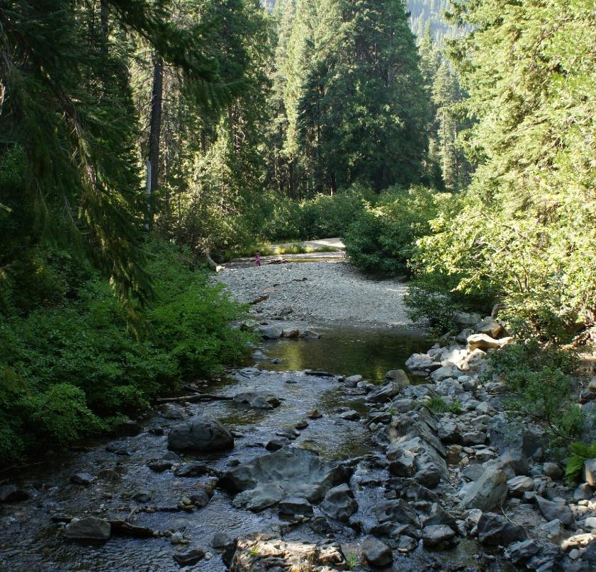 Plumas-Eureka State Park景点图片