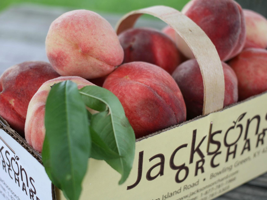 Jackson's Orchard & Nursery-鲍灵格林必去景点