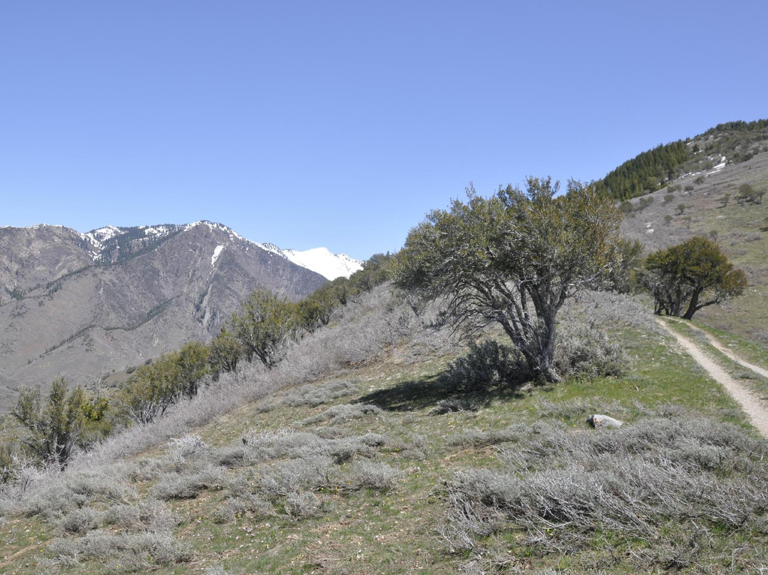 City Creek Canyon-盐湖城必去景点
