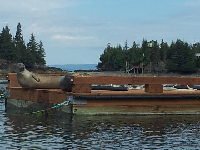 St. Augustine's Sea Kayak And Day Tours-荷马必去景点