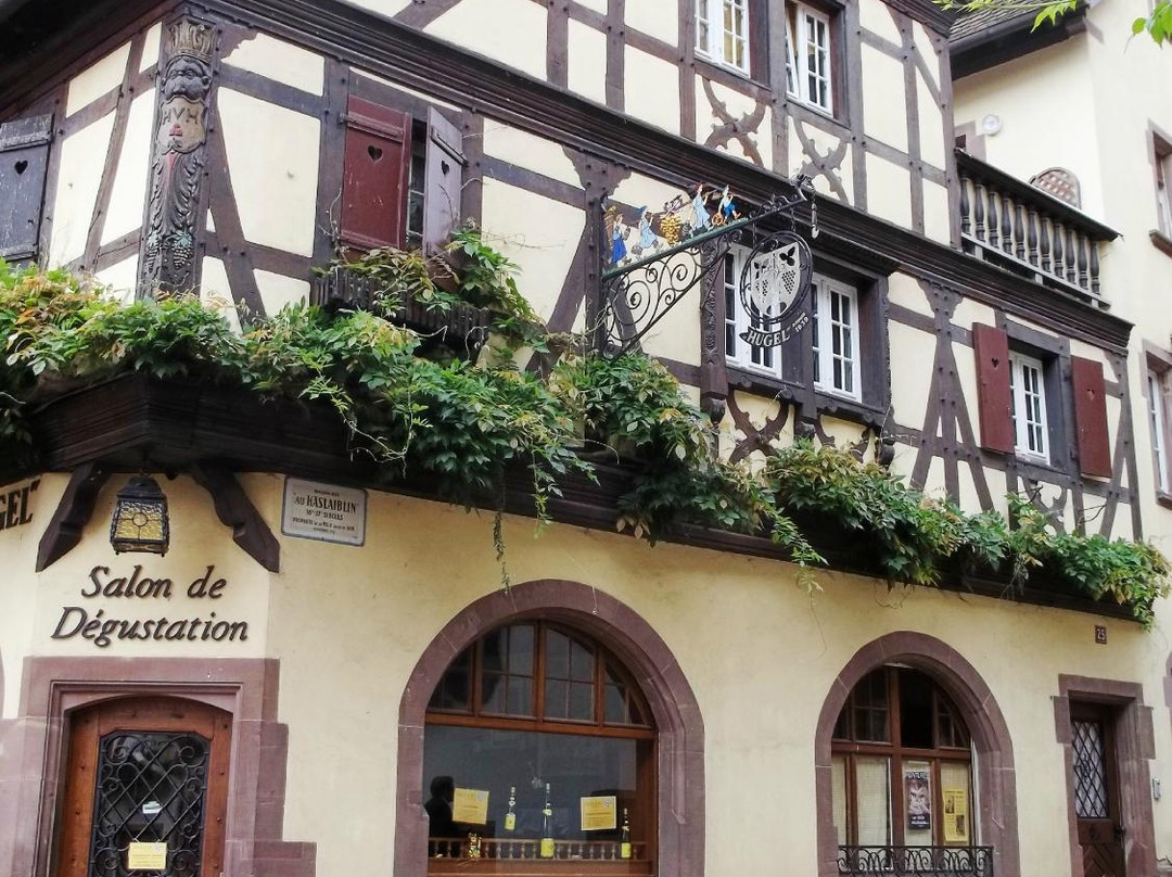 Musee de Dolder-利克威尔必去景点
