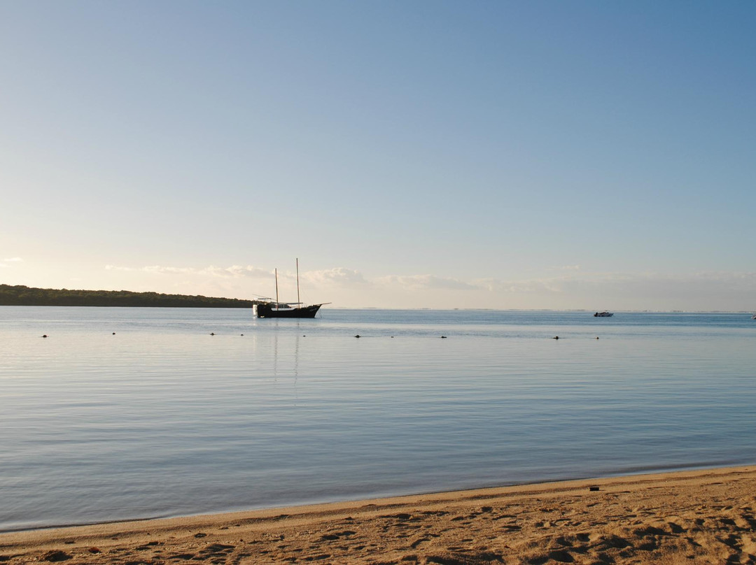 Ile aux Aigrettes Nature Reserve-毛里求斯必去景点