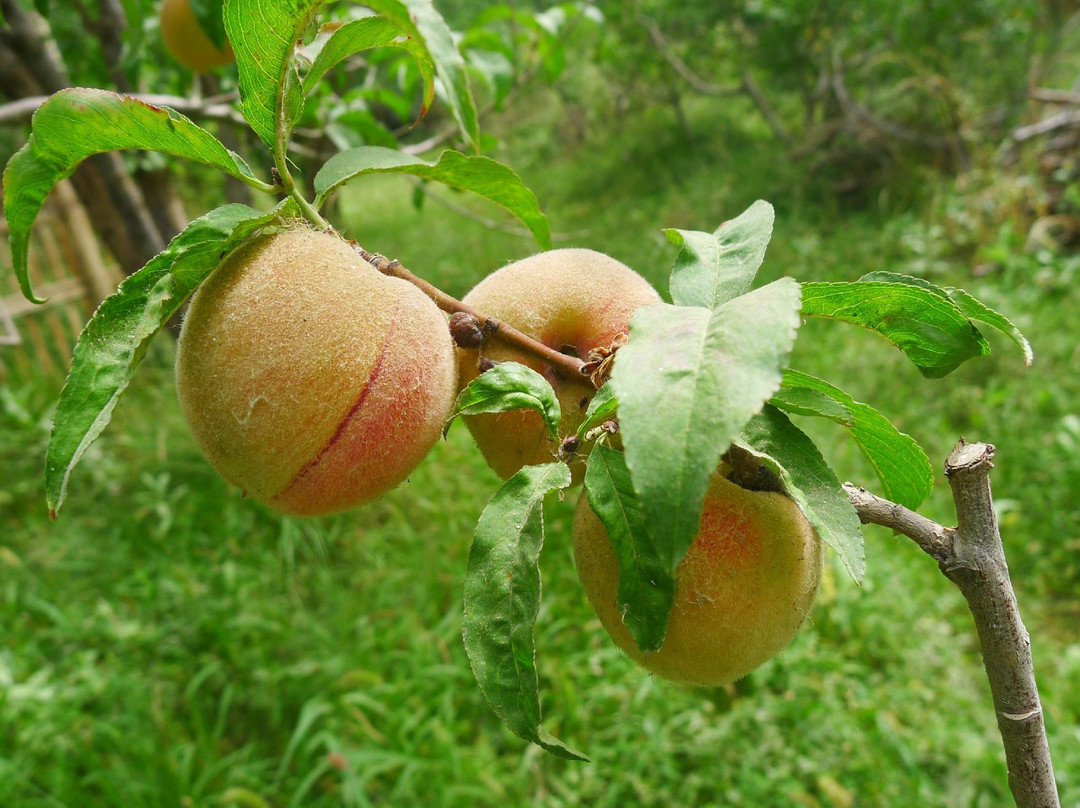 敦煌风非沙国际青年旅舍主图