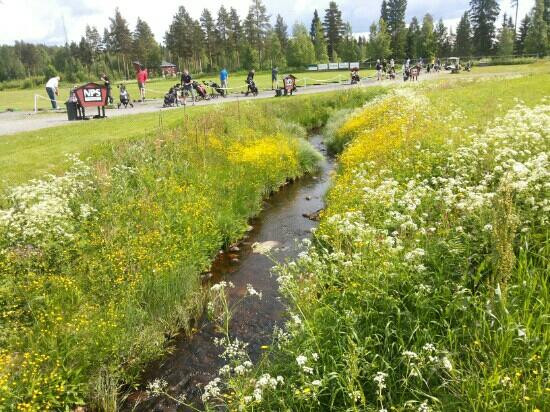 Skelleftea Golf Course-Skellefteå必去景点