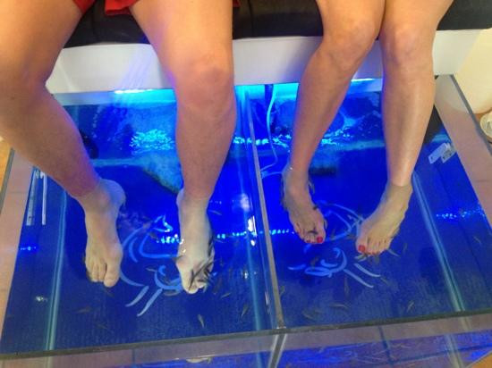 Mijas  Dr. Fish Foot Spa-米哈斯必去景点