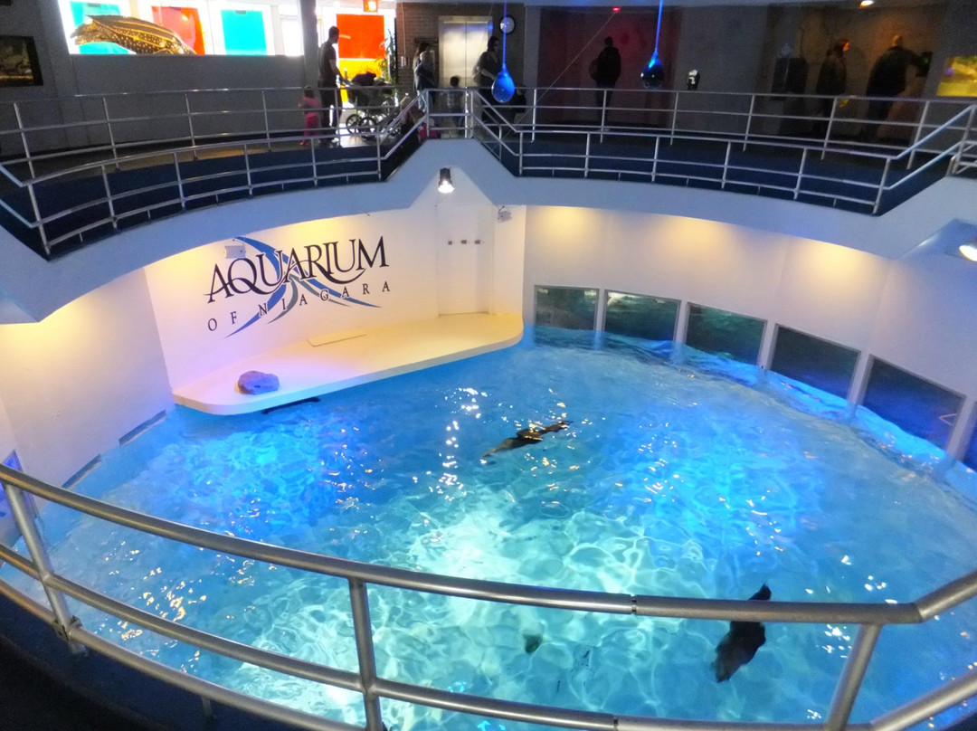 尼亚加拉水族馆-尼亚加拉大瀑布必去景点