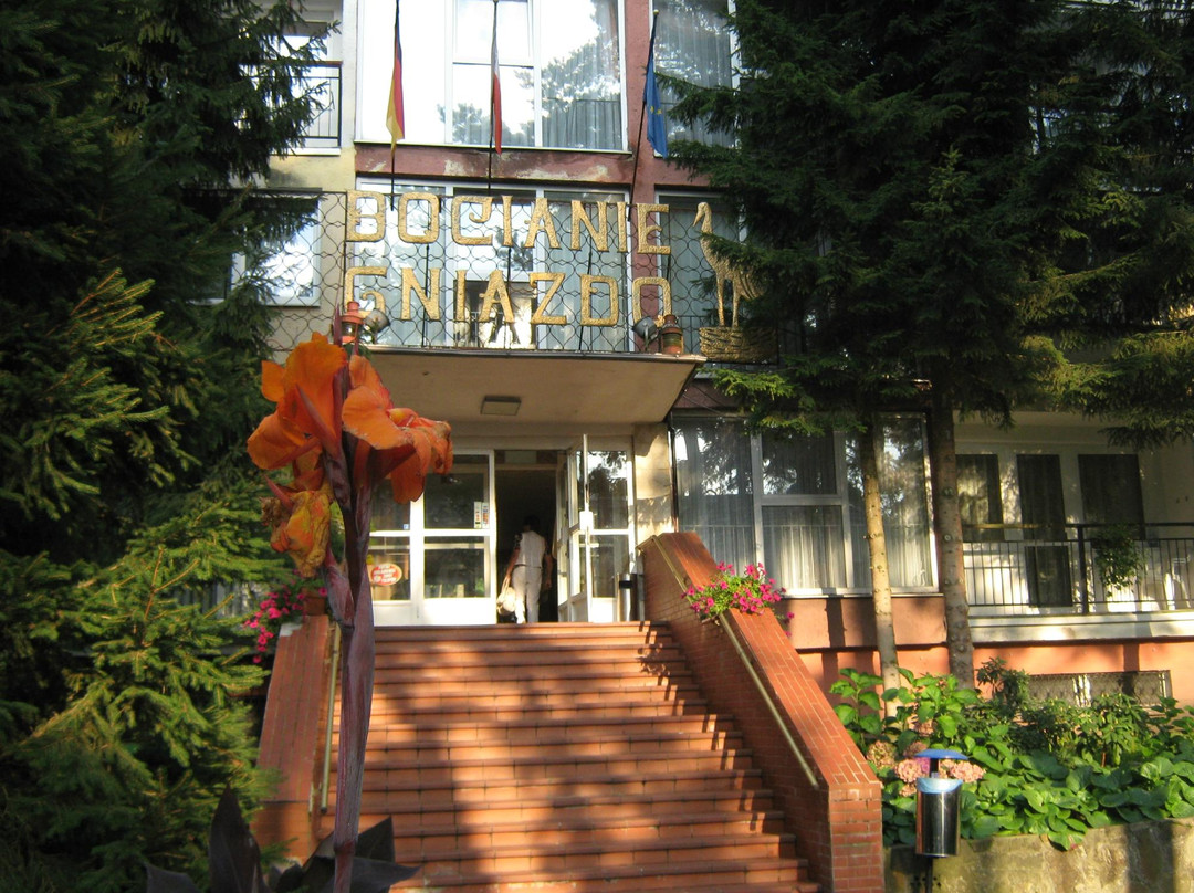 Bocianie Gniazdo Hotel主图