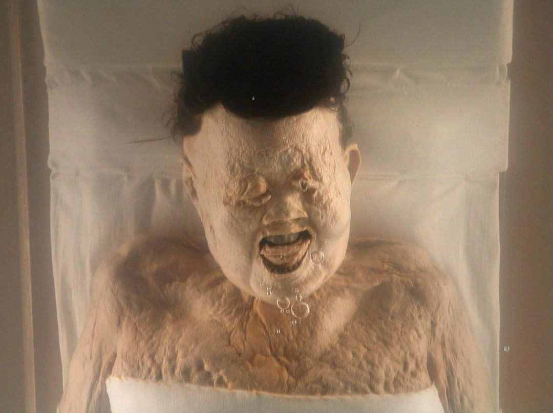 湖南省博物馆-长沙市必去景点