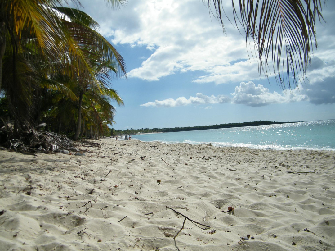 Catalina Island-拉罗马纳必去景点