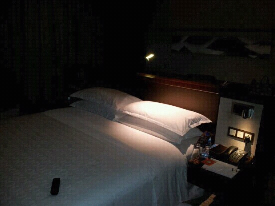 合肥新站利港喜来登酒店主图