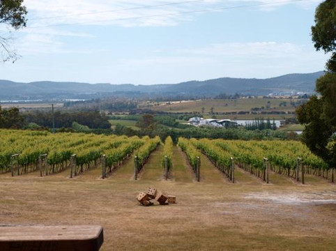 精品休闲之旅-朗塞斯顿必去景点