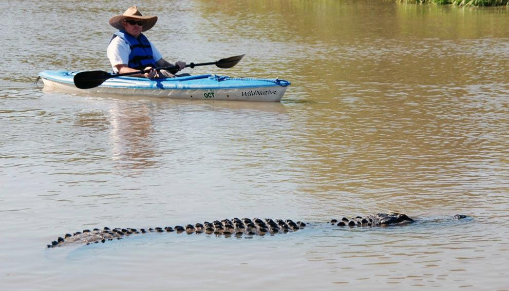 WildNative Tours-Spanish Fort必去景点