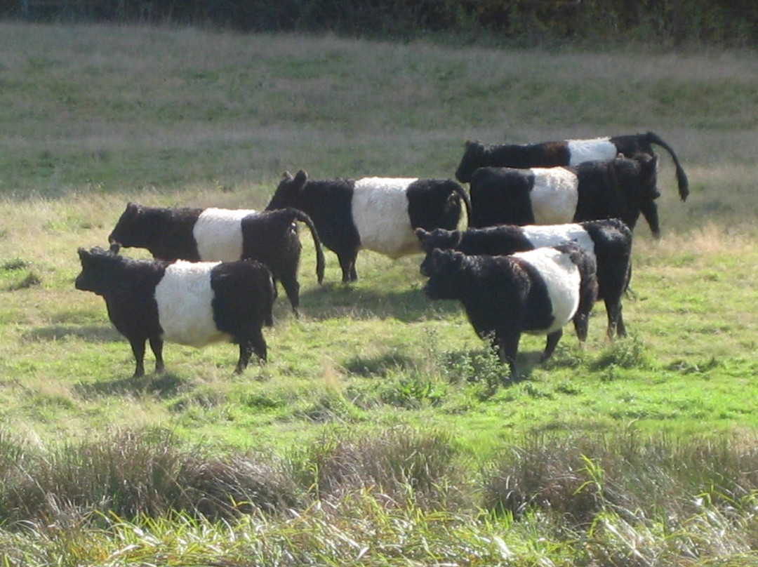 North Fork Yachats Covered Bridge-亚查茨必去景点