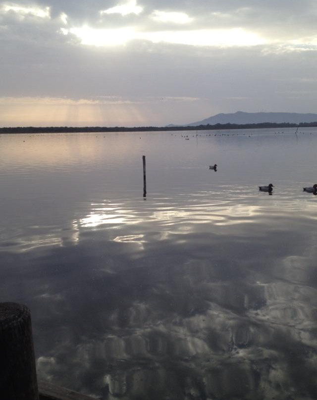 Oasi WWF del Lago di Burano景点图片