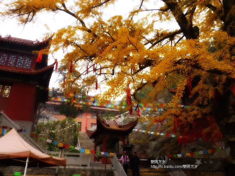 许家崖仙人洞-费县必去景点