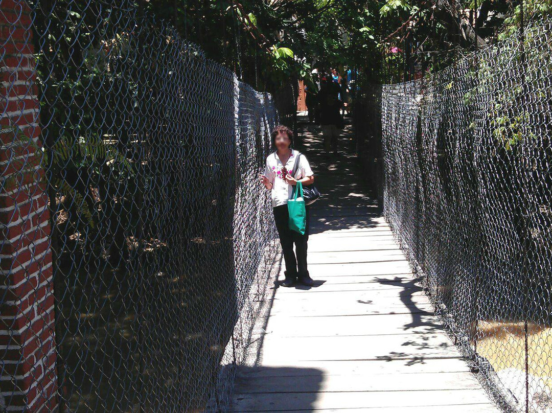 Isla Cuale-瓦拉塔港必去景点