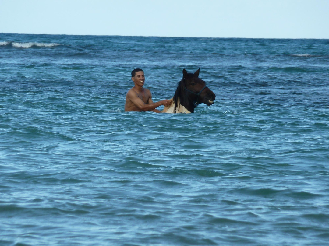 Epona Ranch-拉斯特拉纳斯必去景点