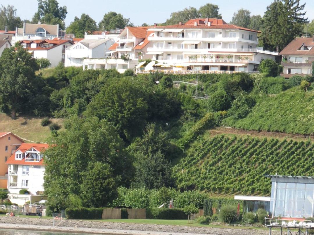 Terrassenhotel Weisshaar主图