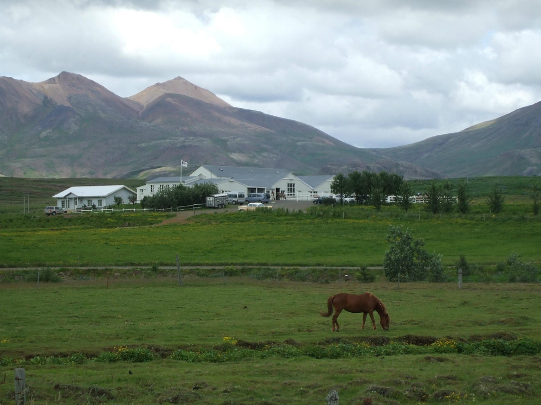 Laxnes Horse Farm景点图片