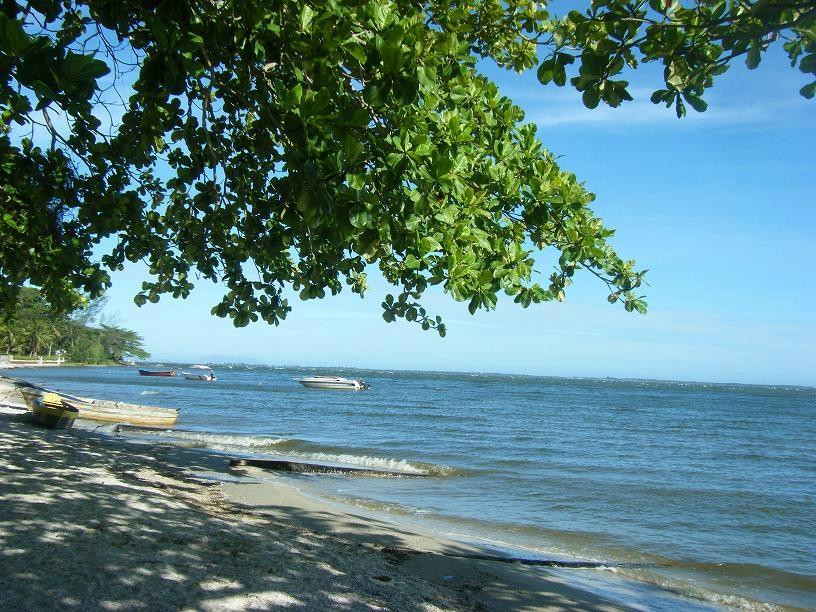 Vegetarian Guesthouse Araruama主图