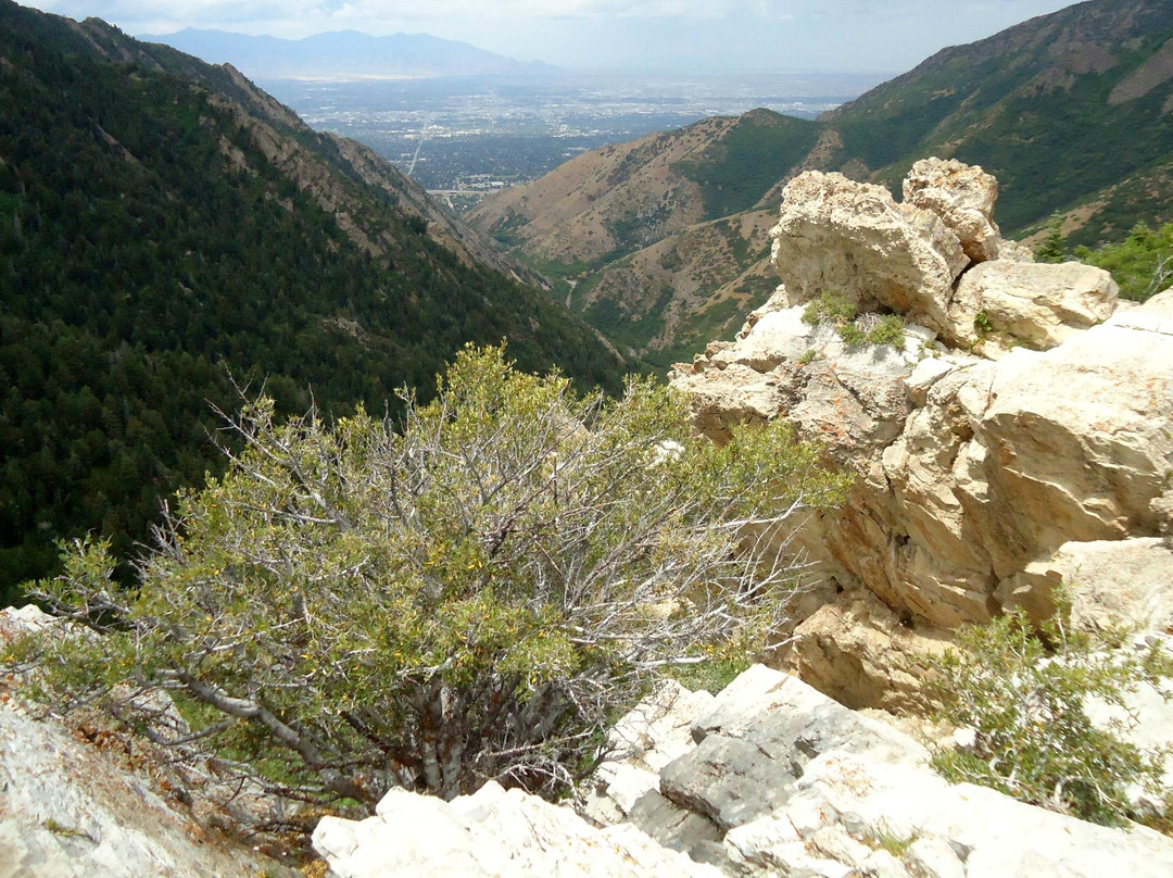 Mill Creek Canyon-盐湖城必去景点
