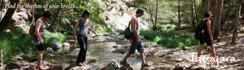 Tassajara Zen Mountain Center主图