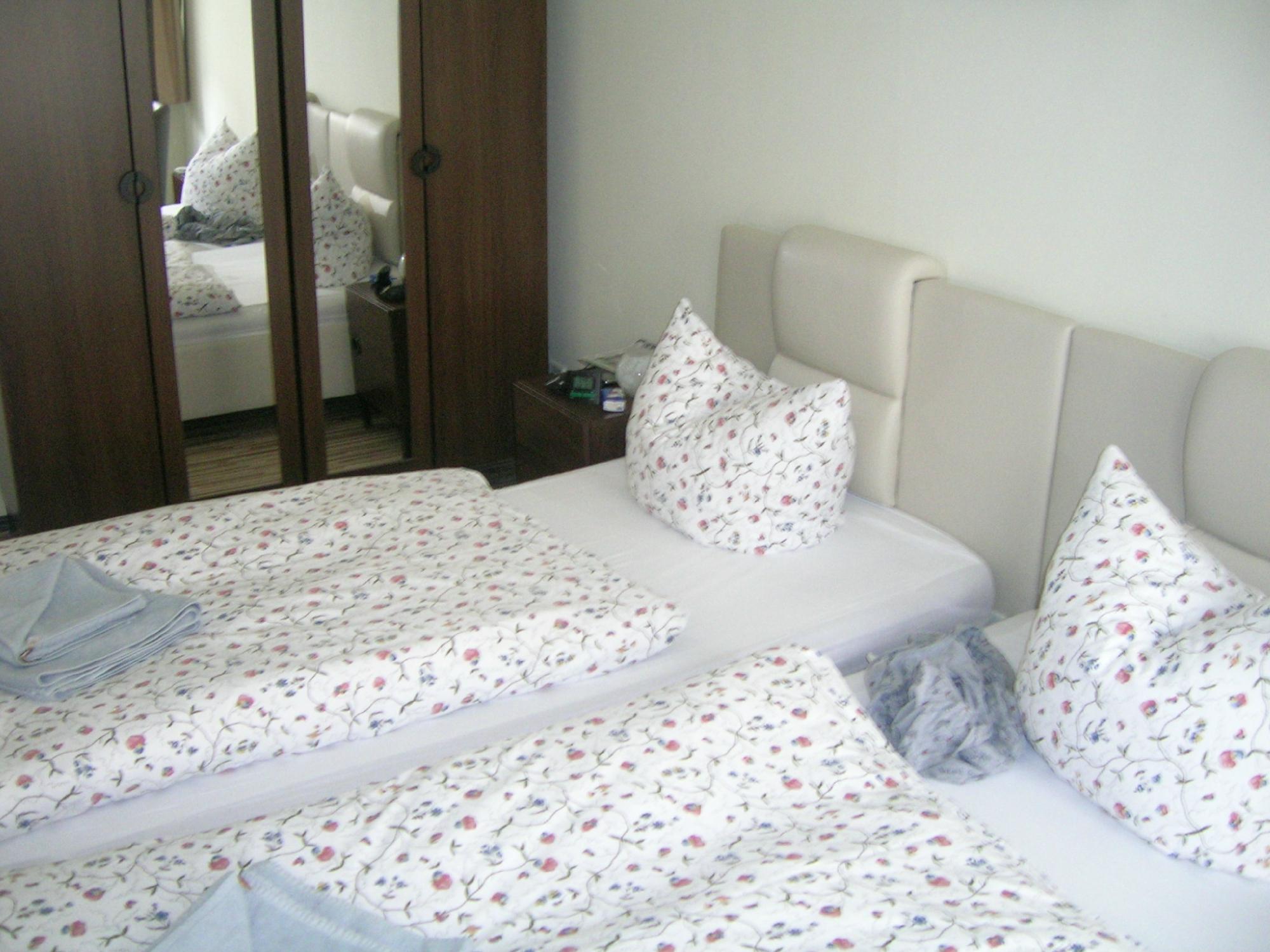 Auenwald Hotel und Apartmenthaus-客卧