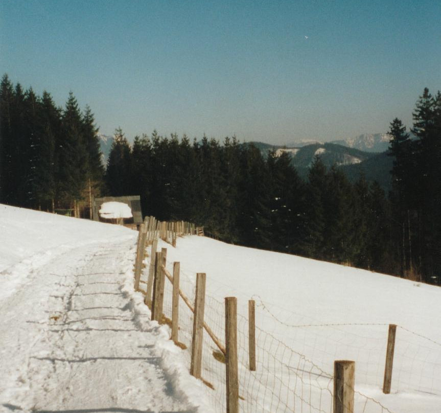 Foedinger Alm-Weyregg am Attersee必去景点