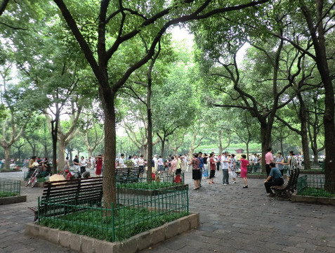 鲁迅公园-上海市必去景点