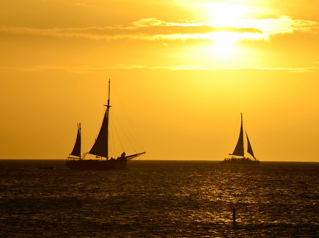 Manchebo Beach-棕榈/鹰海滩必去景点