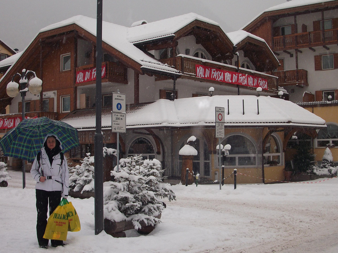 Kronplatz Ski Fields景点图片